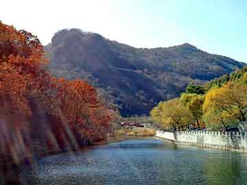 澳门二四六天天彩图库，鳗鲡鱼骨